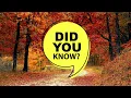 National Orthodontic Health Month