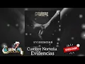 Cumbre Norteña - Evidencias (2026)