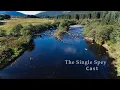 Master the Single Spey Cast Essential Spey Casting Technique