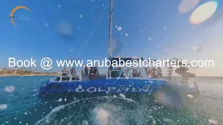 Best Dolphin fun Catamaran Tour in Aruba Dolphin Party Cruise Review