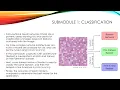 Deep Learning for Biomedical Data Analysis - Biomedical Imaging Analysis using 1 of 1