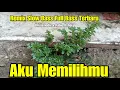 Download Lagu DJ AKU MEMILIHMU Brisia Jodie \u0026 Fabio Asher Remix Tiktok Viral 2023 Full Bass ( Intan Berlin )