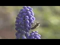 Baltra - when i said [official video]