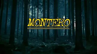 Lil Nas X MONTERO Call Me By Your Name SATAN S EXTENDED VERSION Lyrics 