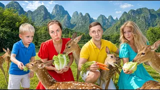 Кормим бэмби / Стеклянный Мост / Влог из Поездки в Яншо!