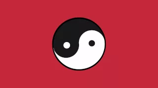Spin Yang