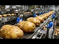 Lagu How Modern Potato Chips Is Made Today: Inside the Modern Factory
