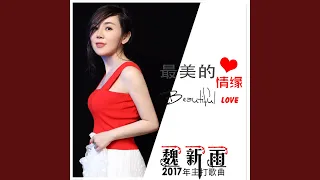 Download 最美的情缘 MP3