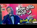 الموال دة جامد اوى | جديد طارق الشيخ | موال طالع عينى فى الدنيا | شعبى 2018