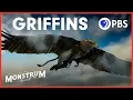 Download Lagu Why Has the Majestic Griffin Been Forgotten? | Monstrum