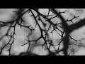 INNELLEA - IT'S US