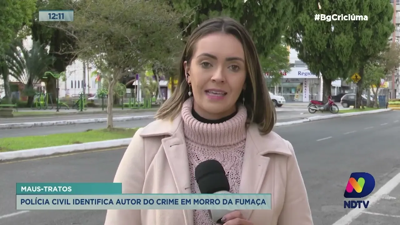 Polícia Civil identifica autor de maus-tratos contra cão em Morro da Fumaça