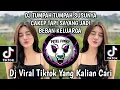 Download Lagu DJ TUMPAH TUMPAH SUSUNYA CAKEP TAPI SAYANG JADI BEBAN KELUARGA DJ VIRAL TIKTOK TERBARU 