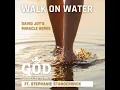 Walk on Water (David Joy's Miracle Remix)