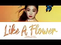 Download Lagu IRENE Like A Flower Lyrics (Color Coded Lyrics)