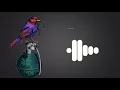 Download Lagu My favourite bass type ringtone.!  English very sad music.! kollan sarkar !