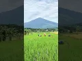 Download Lagu NGARAMBET Di SAWAH#tasikvlog#pemandanganpegunungan #sawah #pemandanganbagus #alampedesaan #sunda
