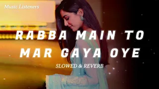 RABBA MAIN TO MAR GAYA OYE || SLOW AND REVERB LOFI SONG || MUSIC LISTENERS || TEXTAUDIO