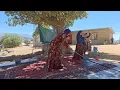 Download Lagu Nomadic Life: Bahjat Washing a Carpet in Mountain Nature🏡
