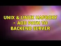 Unix Linux HAproxy - add path to backend server 3 Solutions