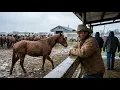 Fifty-Two Horses Were Dismissed as One Lot One Rancher Kept Watching Them Move