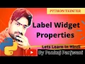 Python GUI Programming Tkinter Label Widget Properties Hindi