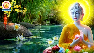 Nhạc Thiền Tĩnh Tâm Quên Hết Sầu Lo, An Lạc Tự Tại