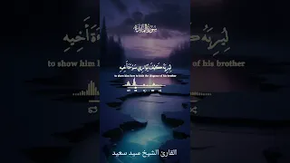 سورة المائدة الآية الكريمة ٣١ بصوت الشيخ سيد سعيد 