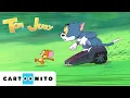 Download Lagu TOM VE JERRY | Çifte Sorun #YENİ Çizgi Film | @CartoonitoTurkiye