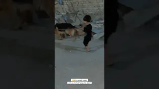 كلبي روك سحب الطفل انتضرو الفيديو 