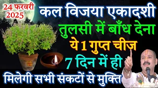 कल विजया एकादशी के दिन तुलसी में बाँध देना ये एक चीज इतना पैसा आएगा कि