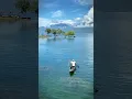 Mencari ikan di tapian danau singkarak #kampuangminangkabau #nature #danausingkarak