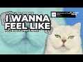 Lagu DJ I WANNA FEEL LIKE TIKTOK VIRAL TERBARU FULL SONG DJ YNMAS REMIX
