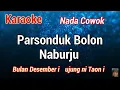 Download Lagu Karaoke : Parsonduk Bolon Naburju  (Nada Cowok)