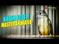 Download Lagu KAPAS TEMBAK GACOR !! COCOK BUAT MASTERAN BURUNG MURAI DAN BURUNG OCEHAN LAIN | PANCINGAN KATEM
