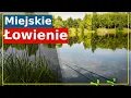 Download Lagu Urban fishing czyli method feeder na łowisku w środku wielkiego miasta.