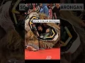 Download Lagu sosok di dalam barong singa !! #barongan #jarankepang #shortvideo