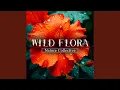 Download Lagu Sunlight Lilies