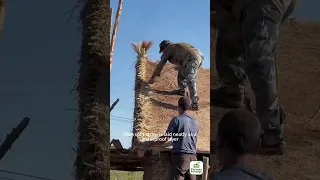 An Ancient Technique For Building Houses Using Mud And Grass 