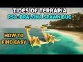 Download Lagu Palworld: PSA Where to find Braloha! Bugged spawn location