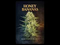 HONEY BANANAS THE HONEY BANANAS STORY