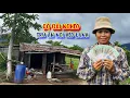 Download Lagu VÌ TIỀN cô gái chạy vô rừng TRÚ ẨN suốt 20 năm - tập 1533