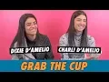Charli and Dixie D Amelio - Grab The Cup