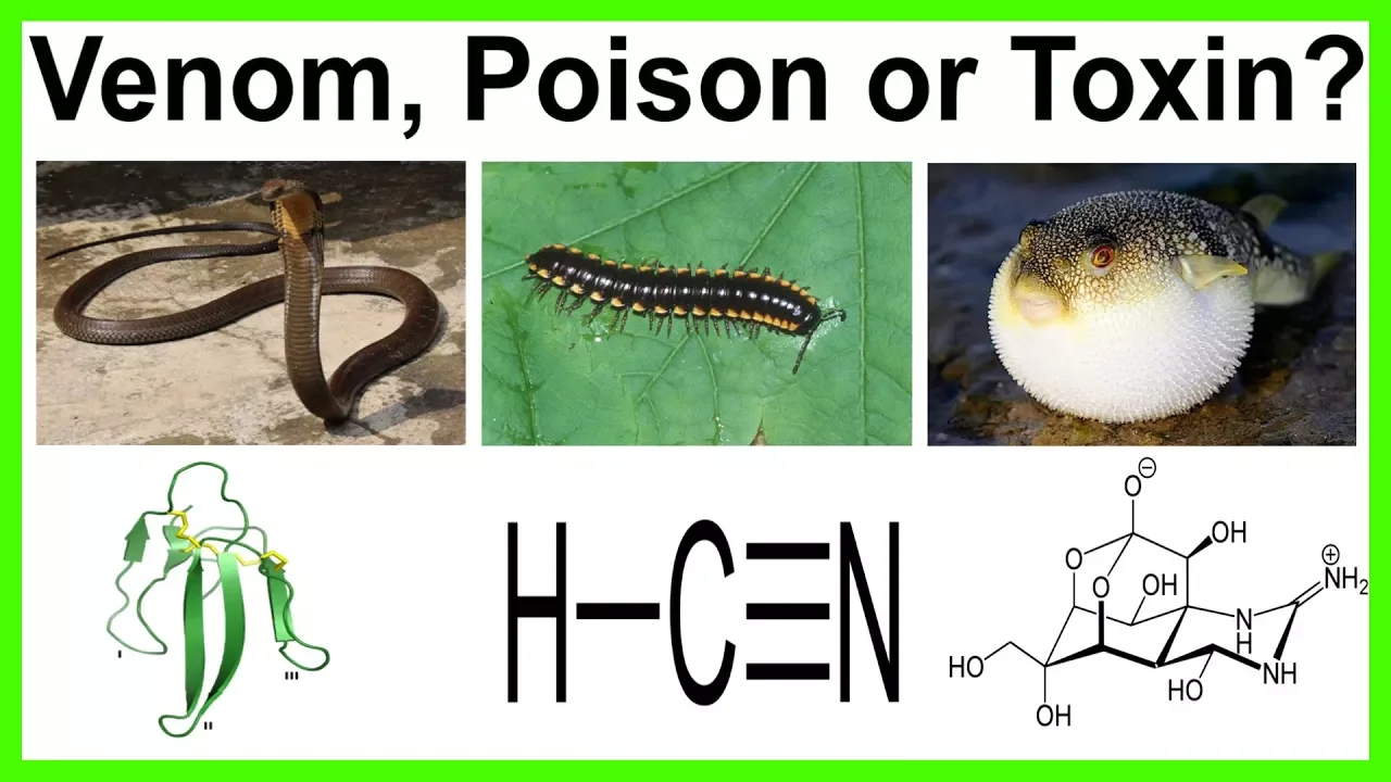 Venom, Poison or Toxin