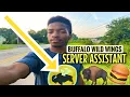 My First Time WORKING AT BUFFALO WILD WINGS ORIENTATION DAY Payout Server Assistant Cash Tips
