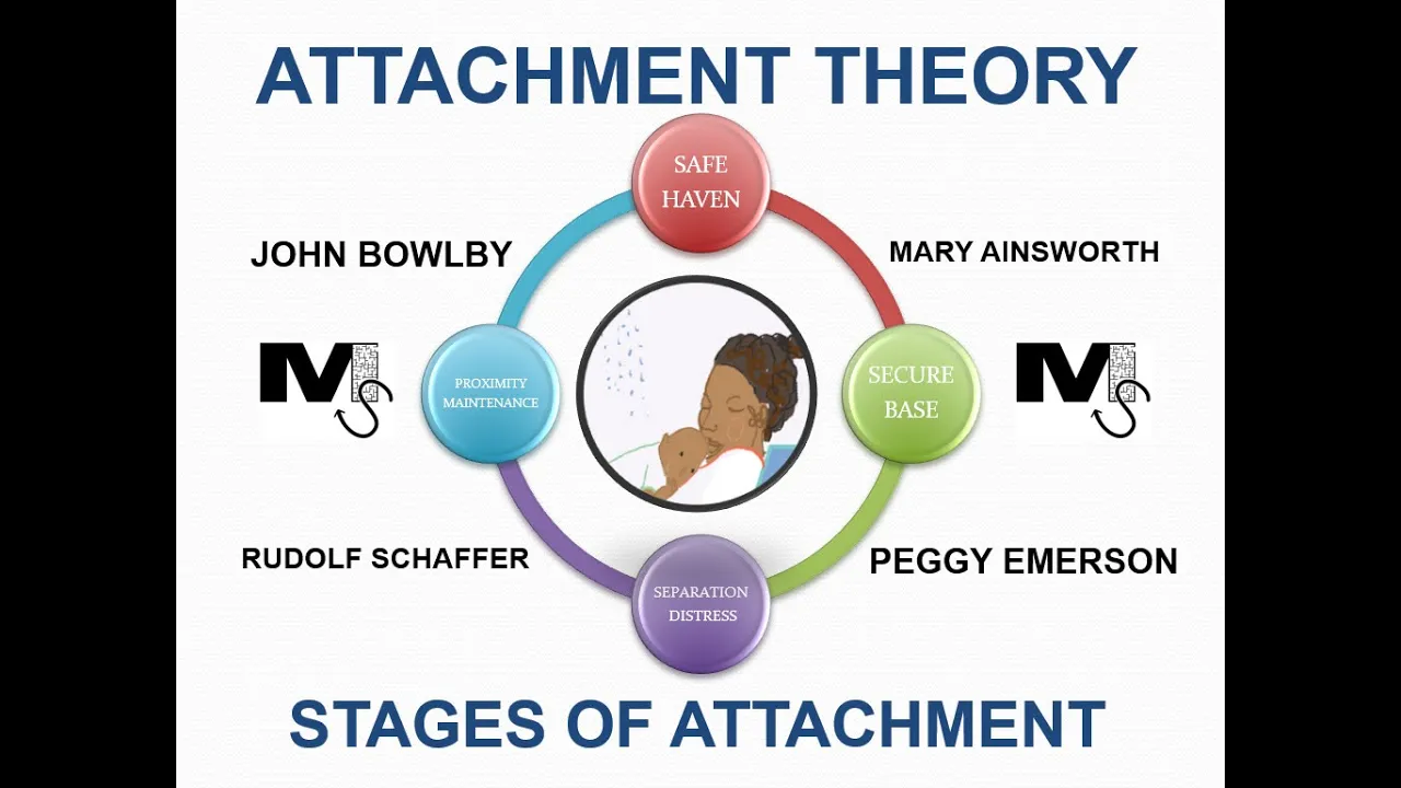 Attachment Theory and the Stages of Attachment - Simplest Explanation Ever