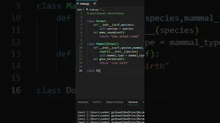 How To Use Multilevel Inheritance In Python