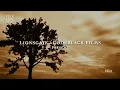 Download Lagu Abertura filme \