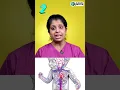 Download Lagu What happens if the baby is not in a proper position during a pregnancy scan?