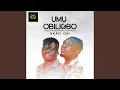 Download Lagu Nkasi Obi